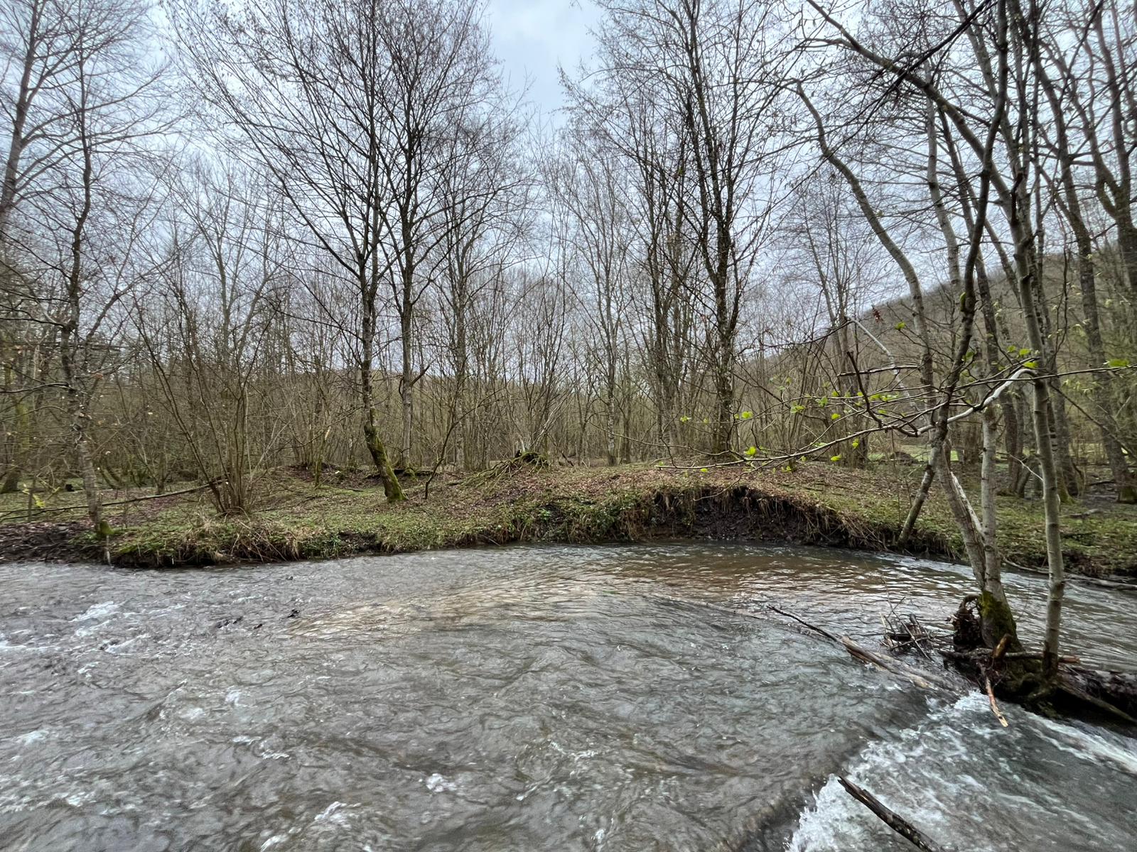 IMG 20260401 WA0015